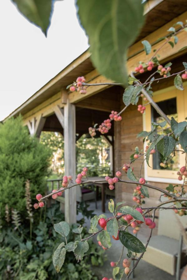 Benningbroek Chalet Ben In Broek מראה חיצוני תמונה