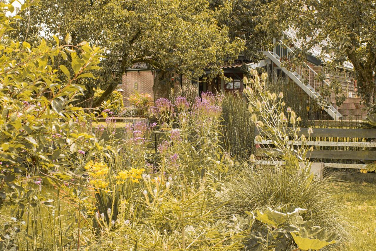 Benningbroek Chalet Ben In Broek מראה חיצוני תמונה